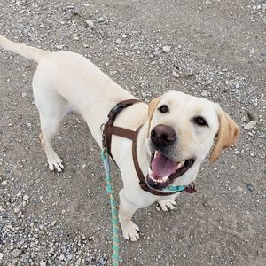 Meet your Posher, Concetta